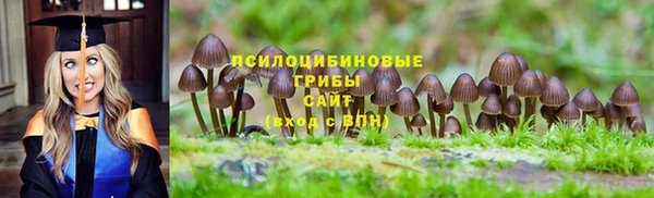 эйфоретик Баксан